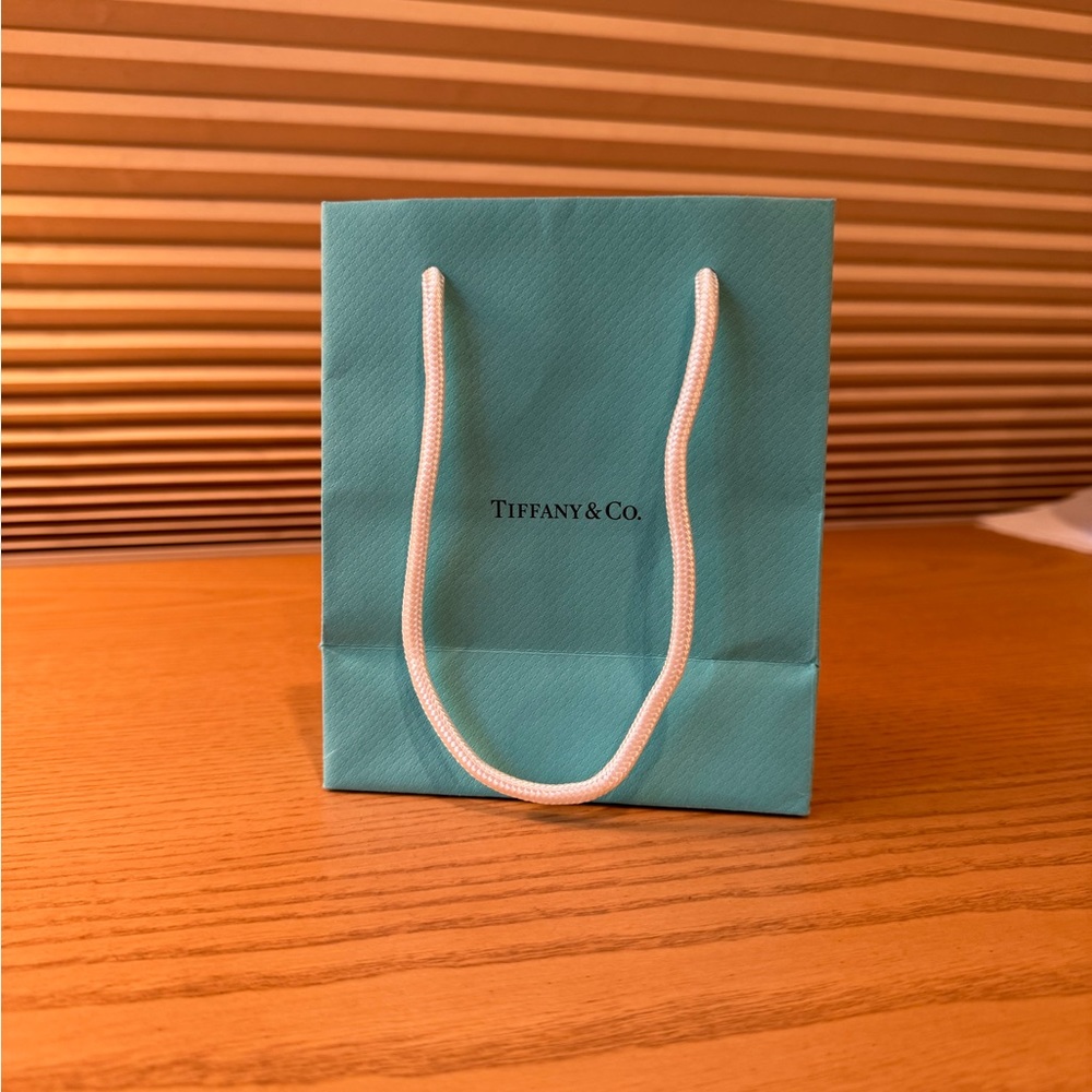 Tiffany & Co Small Gift Bag